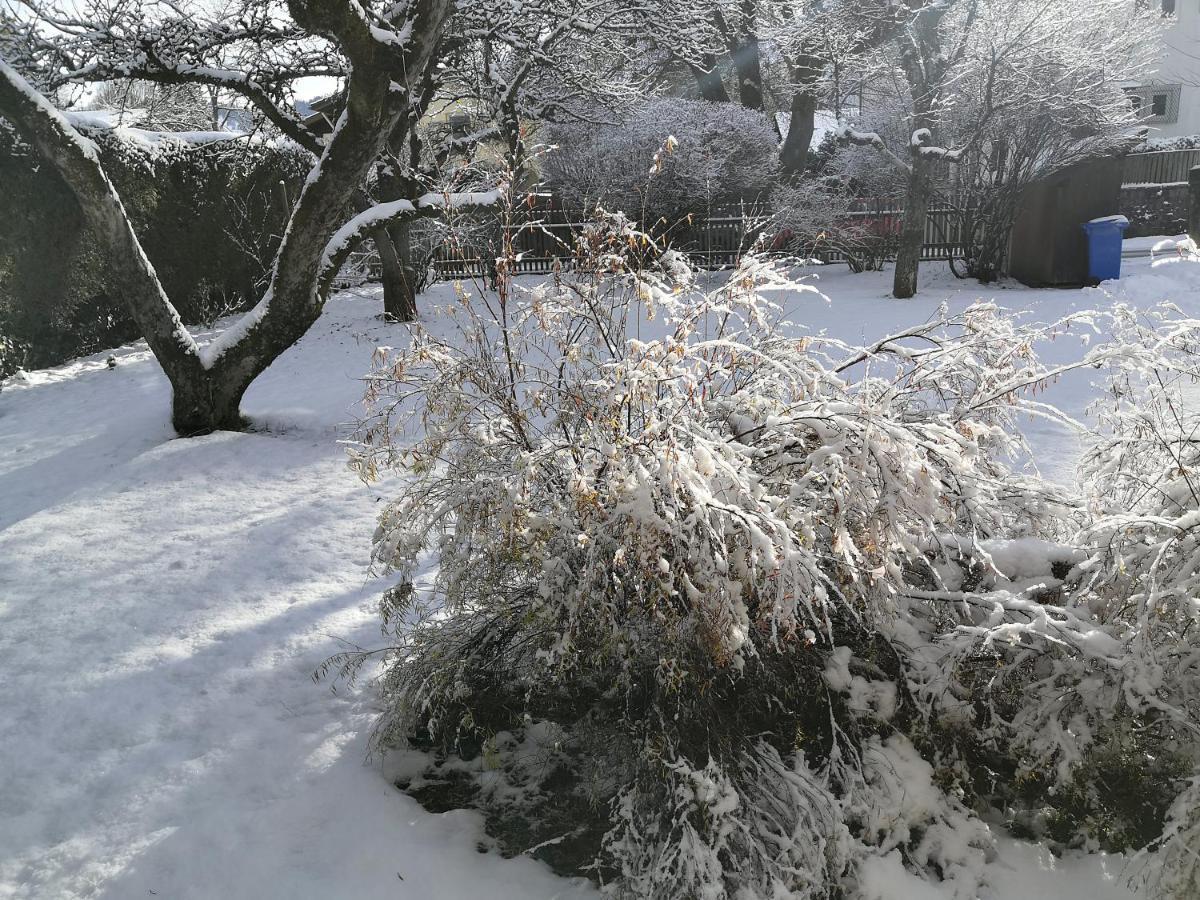 Ferienhaus Erika Garmisch-Partenkirchen Bagian luar foto
